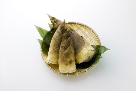 bamboo shoots in the basketの写真素材