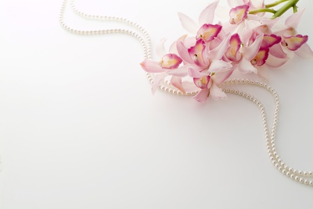 pink cymbidium and pearl on white backgroundの写真素材