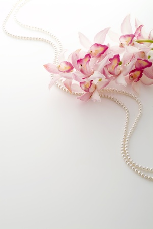 pink cymbidium and pearl on white backgroundの写真素材