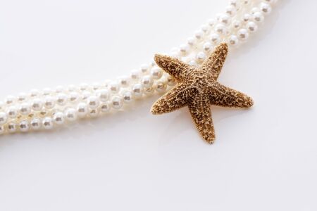 a background image of starfish and pearl on whiteの写真素材