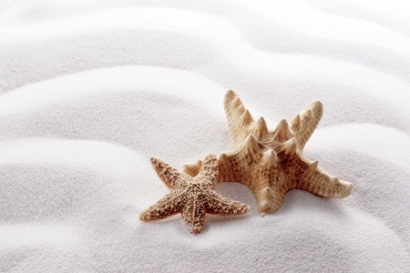 starfish on white wave sandの写真素材