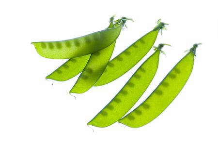 snow pea on white backgroundの写真素材