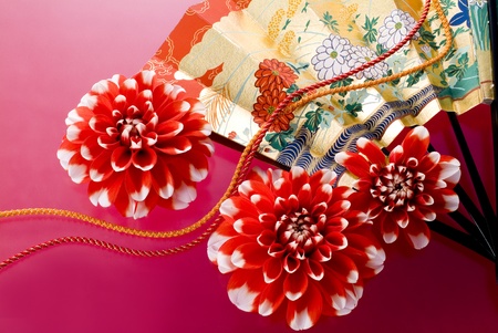 dahlia and japanese fan on red backgroundの写真素材