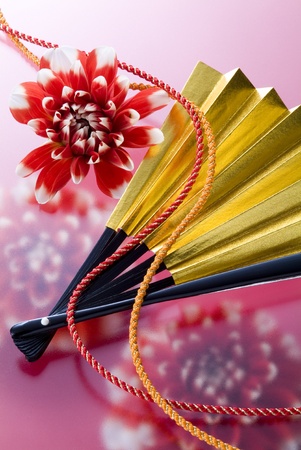 dahlia and japanese fan on red backgroundの写真素材