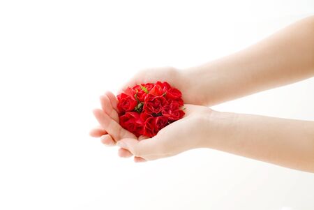 red roses in lady's handsの写真素材