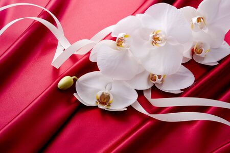 Beautiful white orchid with ribbon is on red satin.の写真素材