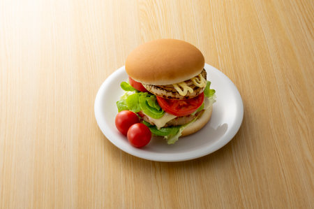 Hamburger steak eaten at a picnicの写真素材
