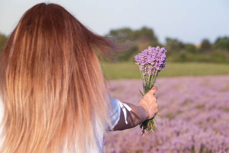 Girl holding a bouquet of fresh lavender in lavender fieldの写真素材