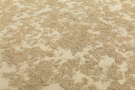 Sand textureの写真素材