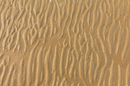 Texture in the sand