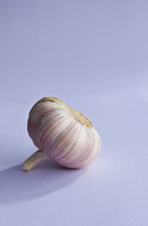 garlicの写真素材