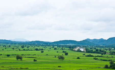 Fieldの写真素材