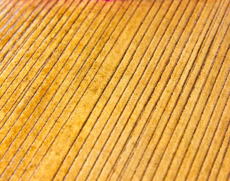 bambooの写真素材