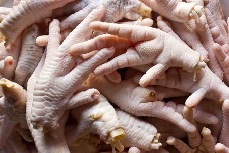 	poultryの写真素材