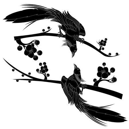 black birdのイラスト素材