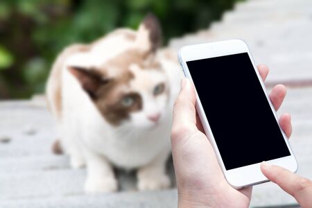 woman hand hold and touch screen smart phoneの写真素材