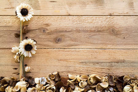 The flower and seeds on wood background