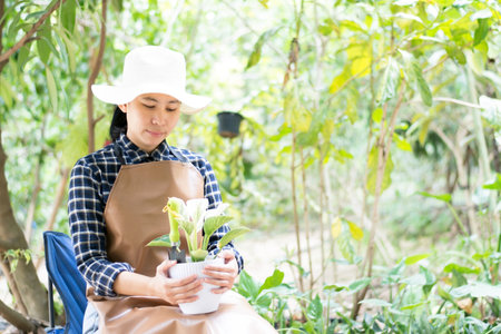 woman arranging plants in the gardenの写真素材