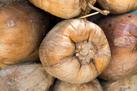 Coconut on the market in Thailand, close-up.