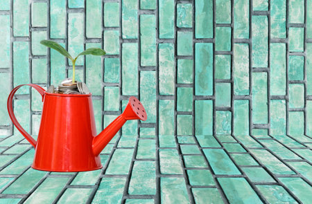 Watering can and plant in pot on green tile wall background.の写真素材