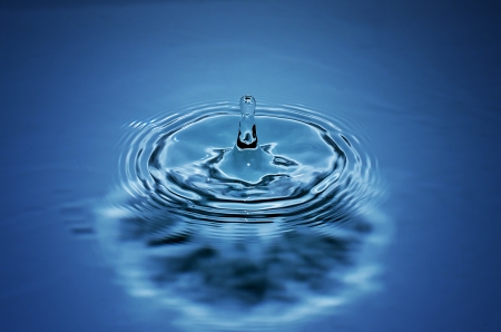 Water dropsの写真素材