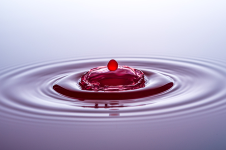 Water drops, drops, redの写真素材