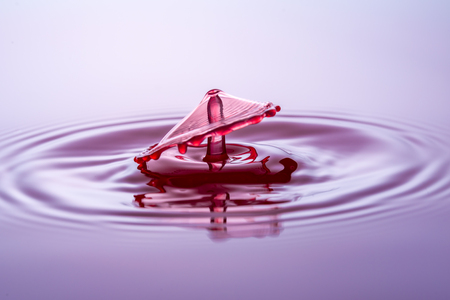 Water drops, drops, redの写真素材