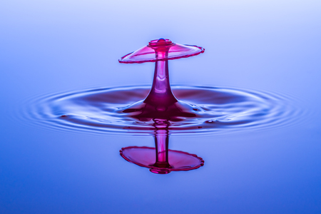 Water drops, drops, red, blueの写真素材