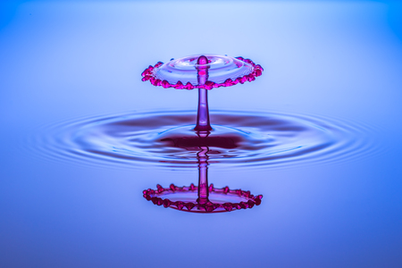 Water drops, drops, red, blueの写真素材