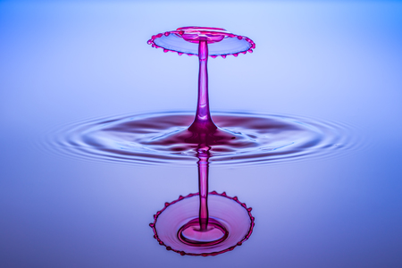 Water drops, drops, red, blueの写真素材