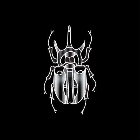 vector beetle icon for designのイラスト素材