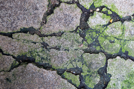 Dirty cement floor backgroundの写真素材