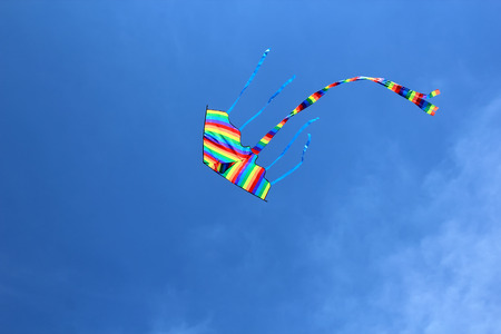 Bright colorful kite in the blue sky.の写真素材