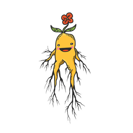Vector Illustration of the Cute Mandrake Roots Cartoon Character Isolated on White Backgroundのイラスト素材