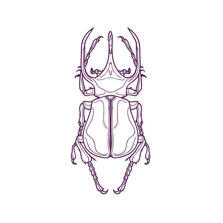 Vector Illustration of Outline Big Horn Beetle Bug Insect Hand Drawn, Chalcosoma Atlasのイラスト素材