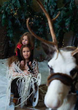 Deer and girl in forestの写真素材