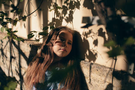 Shadow girl on an orange wall in summerの写真素材