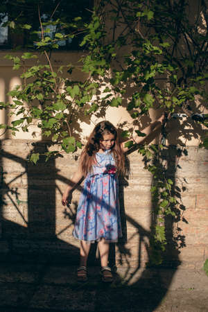 Shadow girl on an orange wall in summerの写真素材