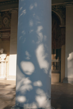 Shadows from trees on a plastered wallの写真素材