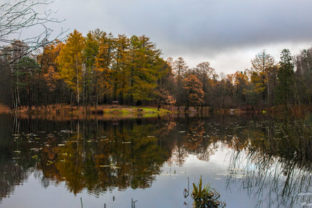 Water reflection of city park scenery - trees and leafs falling in the middle of autumn season....