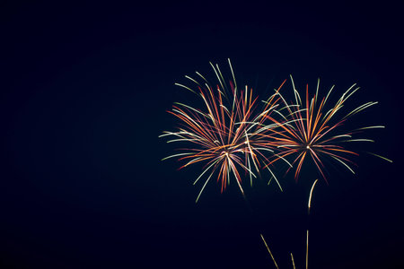 Fireworks on the dark sky during the night of the feast.の写真素材