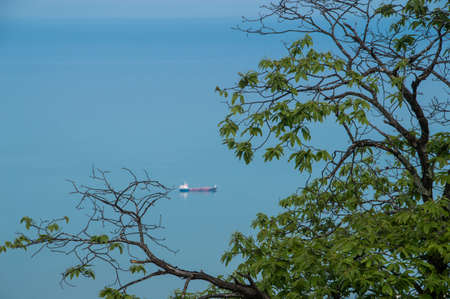 tree branches and ship on blue horizon backgroundの写真素材