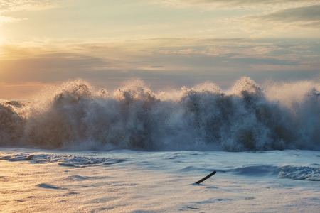 Foamy wave at the sunset beachの写真素材