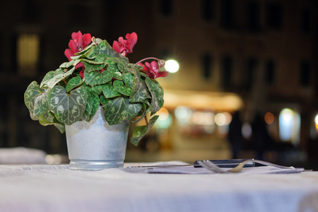Potted flower on the table, selective focusの写真素材
