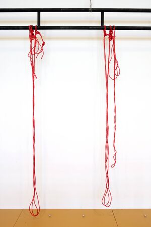 Two red ropes hanged on black metal construction