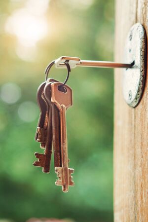 Key in the keyhole, blurry natureの写真素材