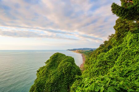 Beautiful scenic summer view of the coast covered by the green ivy,