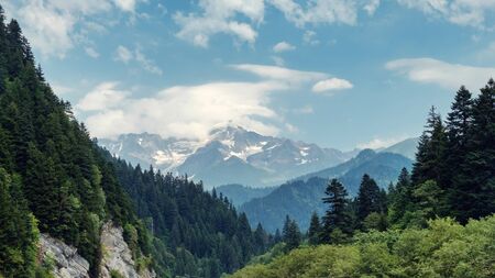 Mountain landscape with forest and blue sky