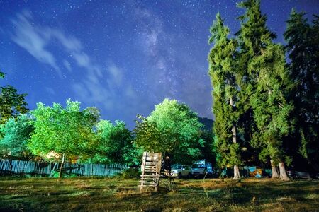 Night forest scene with starry blue sky and milky way