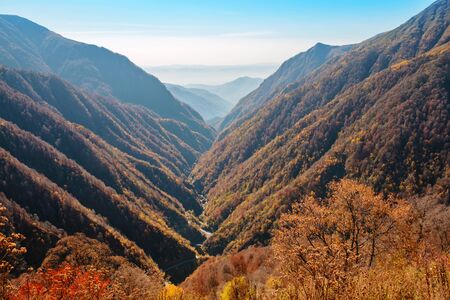 Autumn view of the fast small mountain river running through the mountain gorgeの写真素材
